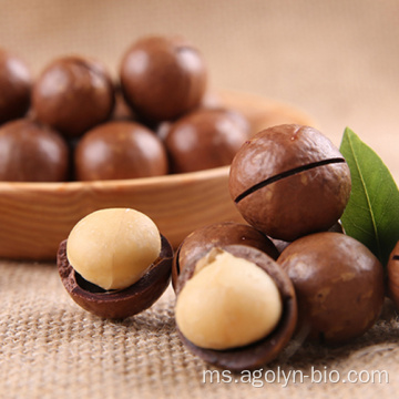 Facoterory berkualiti tentang kacang macadamia